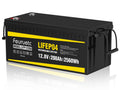 12V 200Ah LiFePO4 Deep Cycle Lithium Battery with 200A BMS N988505