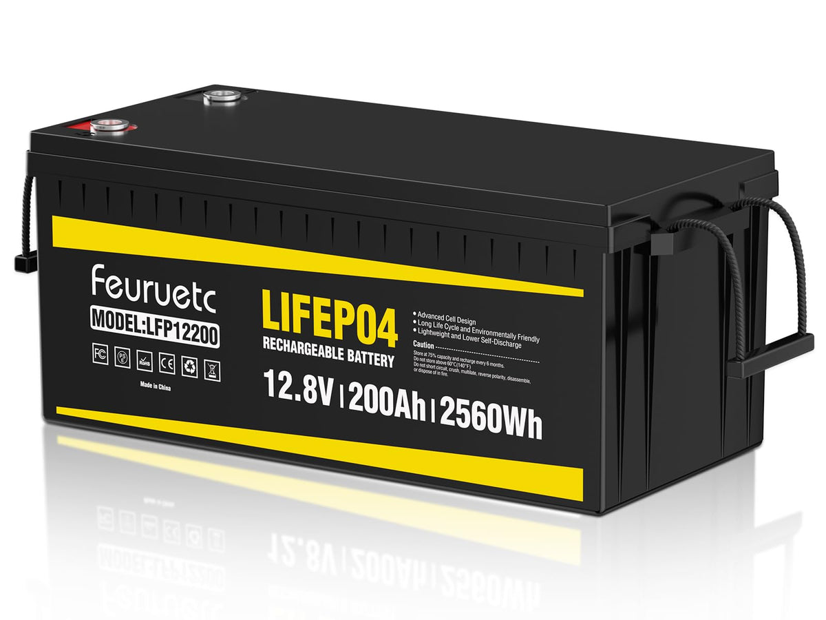 12V 200Ah LiFePO4 Deep Cycle Lithium Battery with 200A BMS N988505