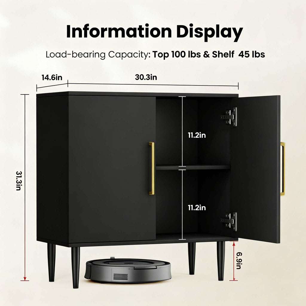Black Storage Cabinet with Doors and Adjustable Shelf N205419