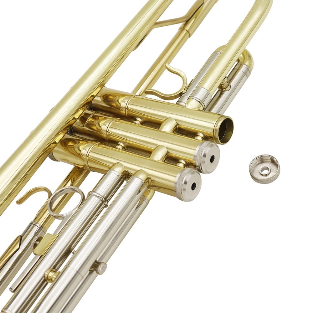 Standard Trumpet with Hard Case and 7C Mouthpiece A773