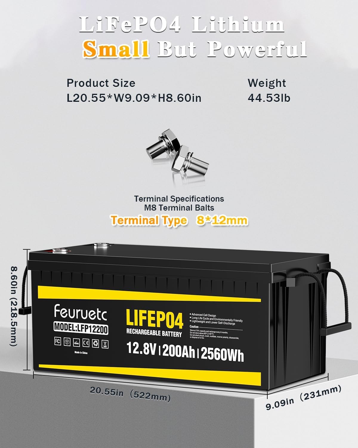 12V 200Ah LiFePO4 Deep Cycle Lithium Battery with 200A BMS N988505