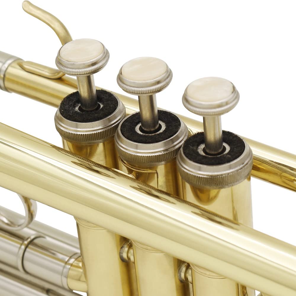 Standard Trumpet with Hard Case and 7C Mouthpiece A773