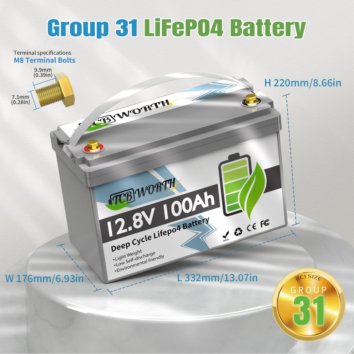 12V 100Ah LiFePO4 Deep Cycle Lithium Battery with 100A BMS O9741
