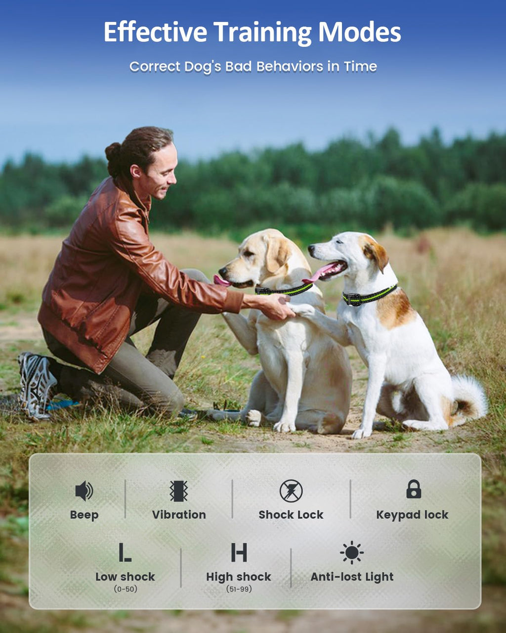 Dog Training Collar I323