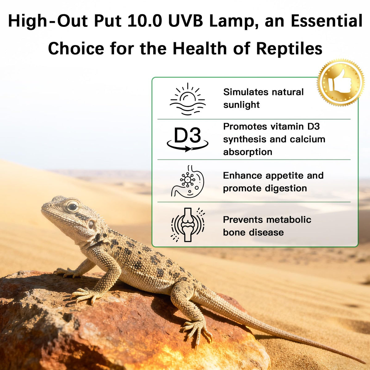 8W UVA UVB Reptile Light Fixture Combo Kit X268