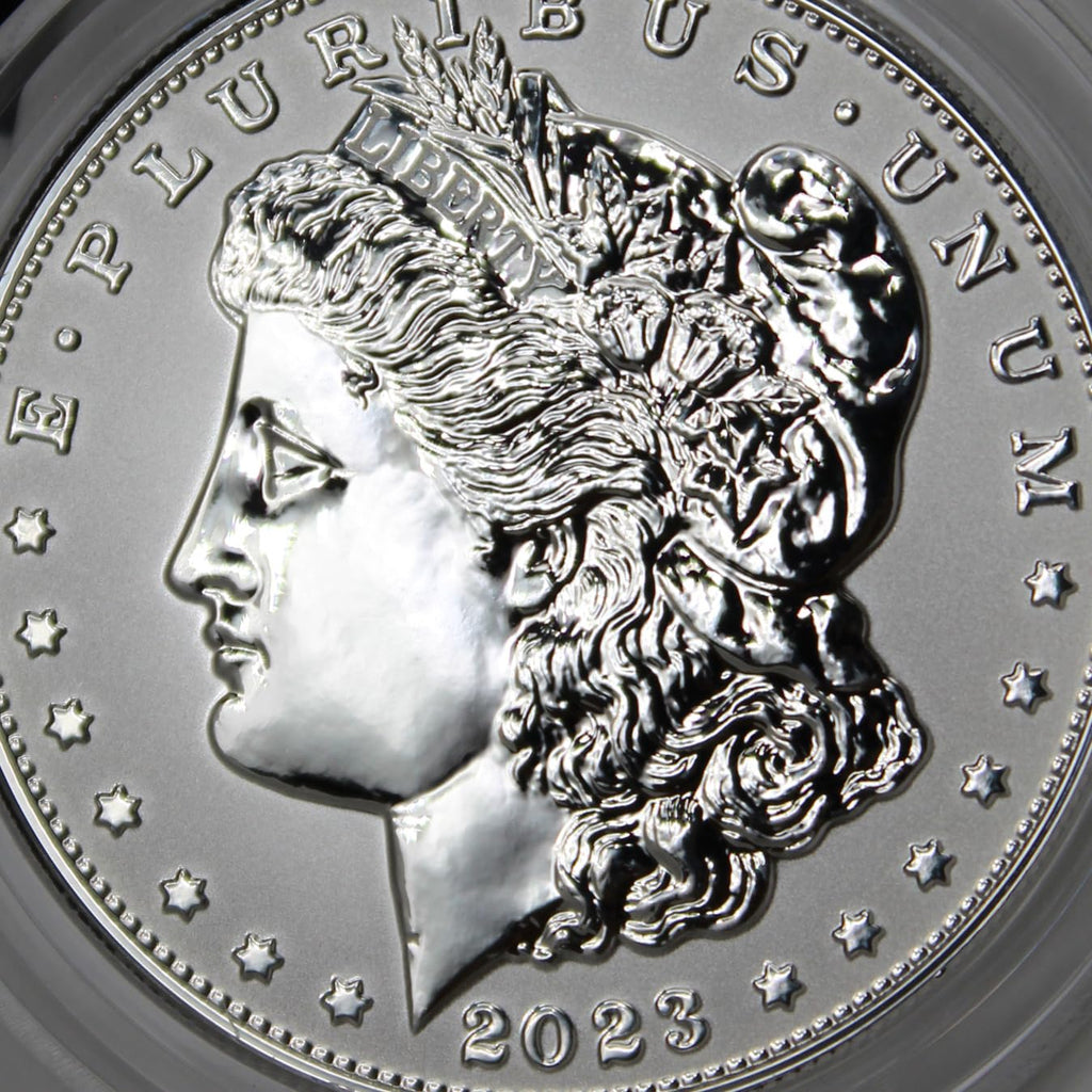 Set of 2 American Silver Morgan and Peace Dollar $1 D6899