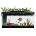 3.7 Gallon Betta Fish Tank Kit with Filter Light Water Pump C124903