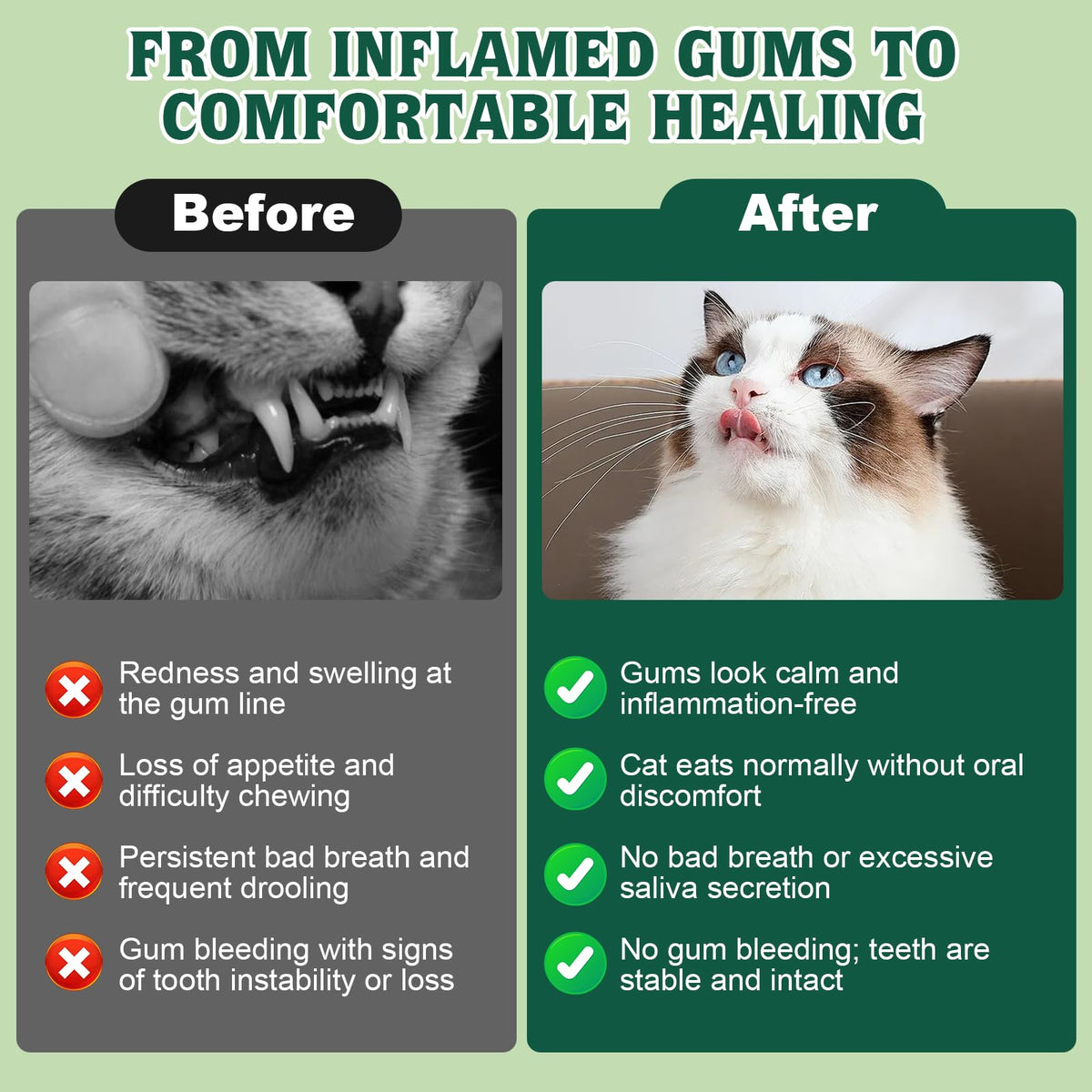 Natural Plant-Based Cat Oral Care 4 oz P22168