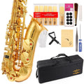 E Flat Alto Saxophone with Case N790