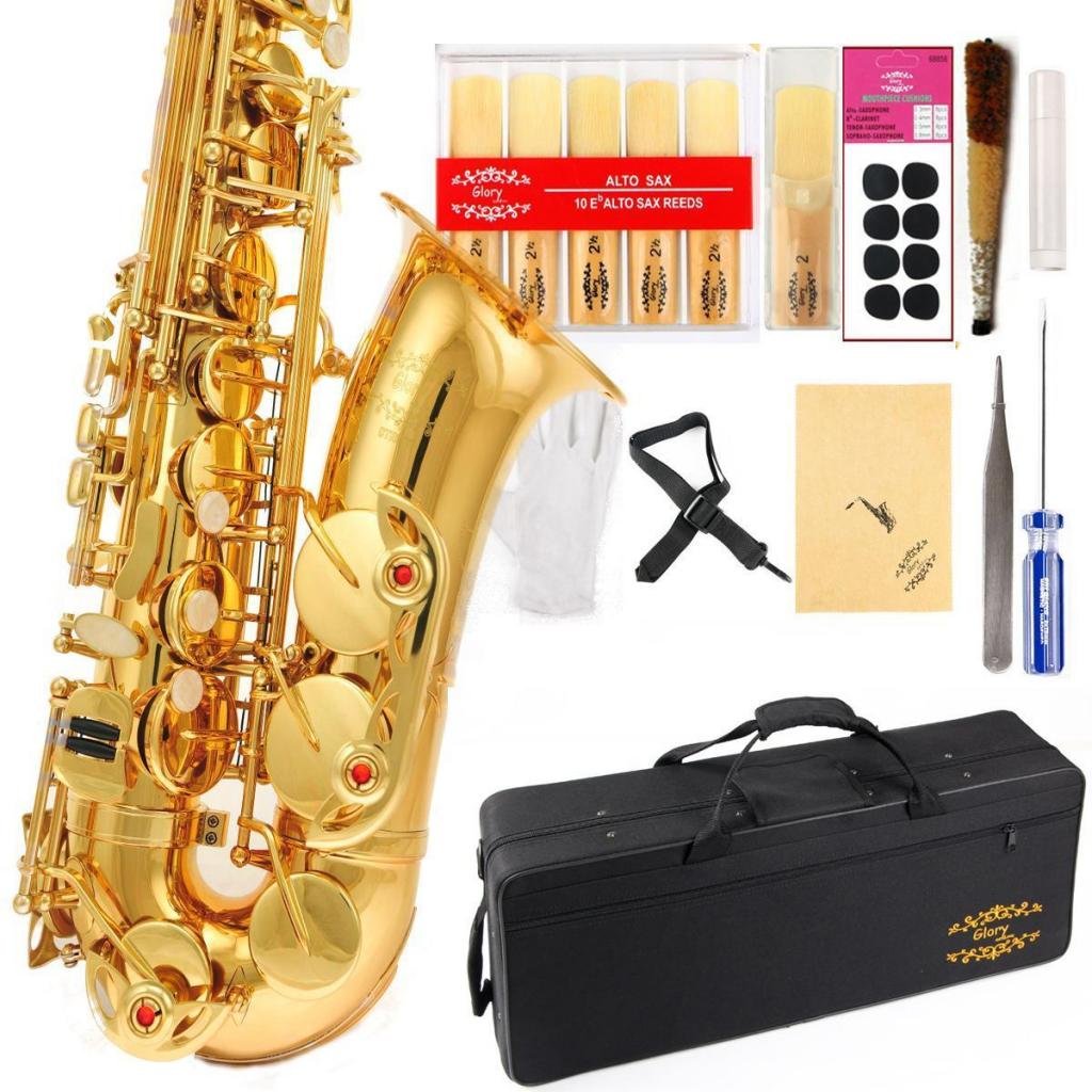 E Flat Alto Saxophone with Case N790
