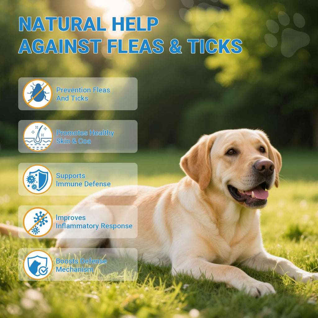Flea and Tick Prevention for Dogs 200 Soft Chews Chicken Flavor R96105