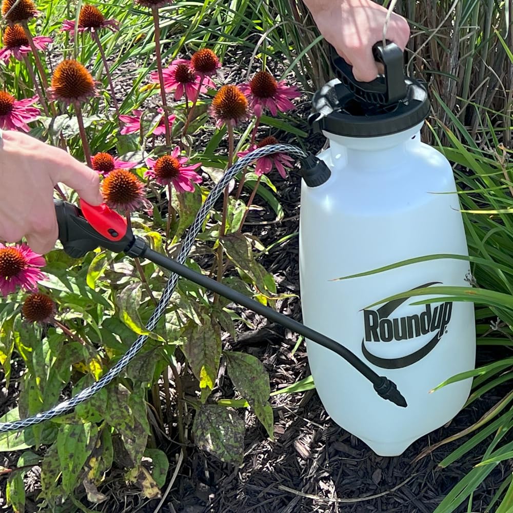2-Gallon Lawn and Garden Sprayer Q55109