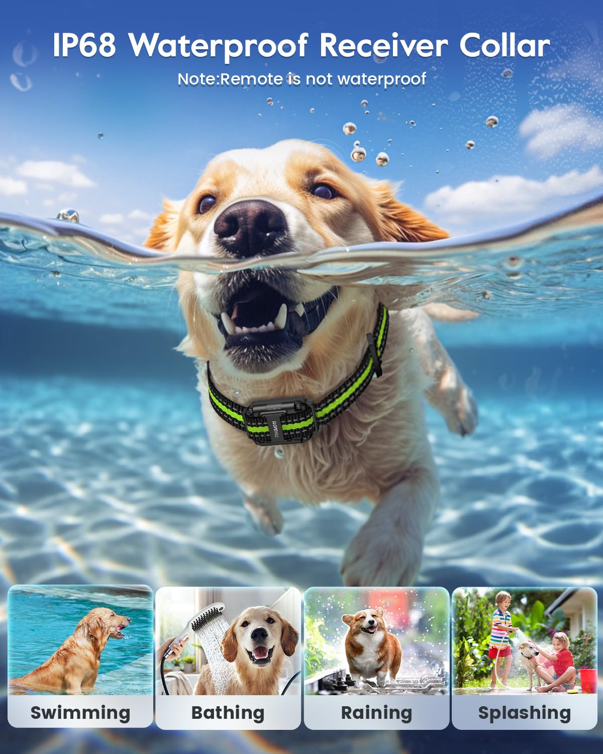 Dog Training Collar I323