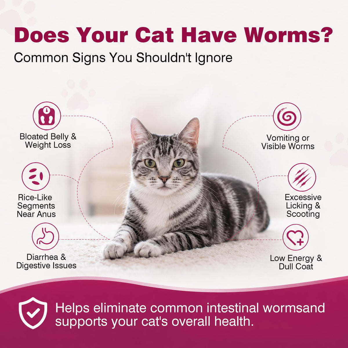 Broad-Spectrum Dewormer for Cats and Kittens, 12 Tablets P846