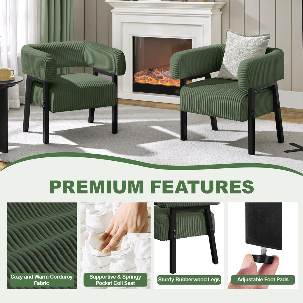 Accent Living Room Chair Set of 2 F17510