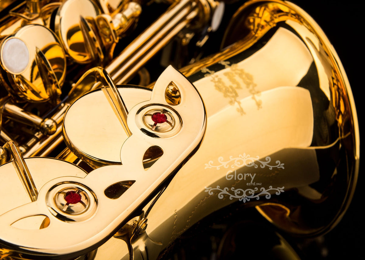E Flat Alto Saxophone with Case N790
