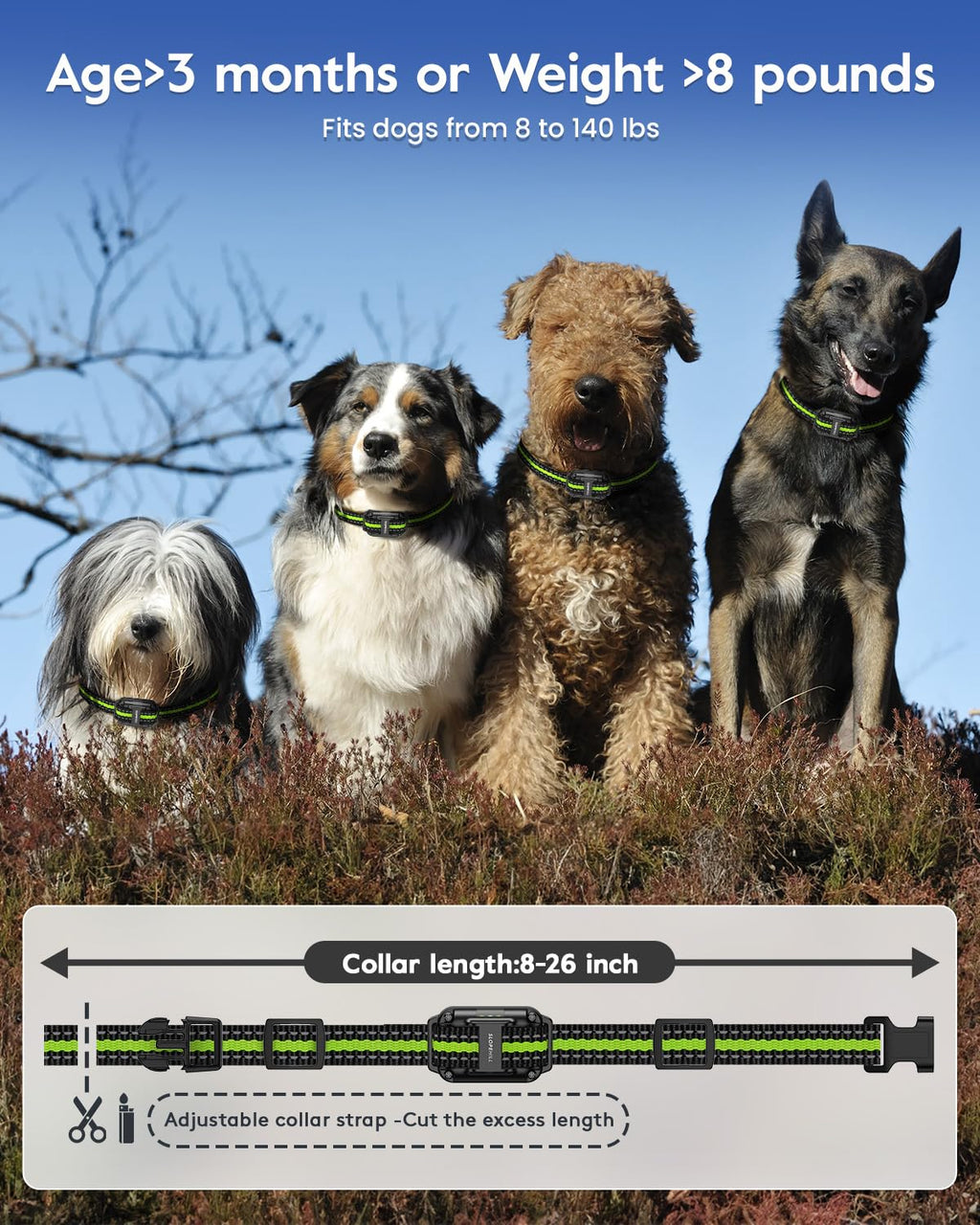 Dog Training Collar I323