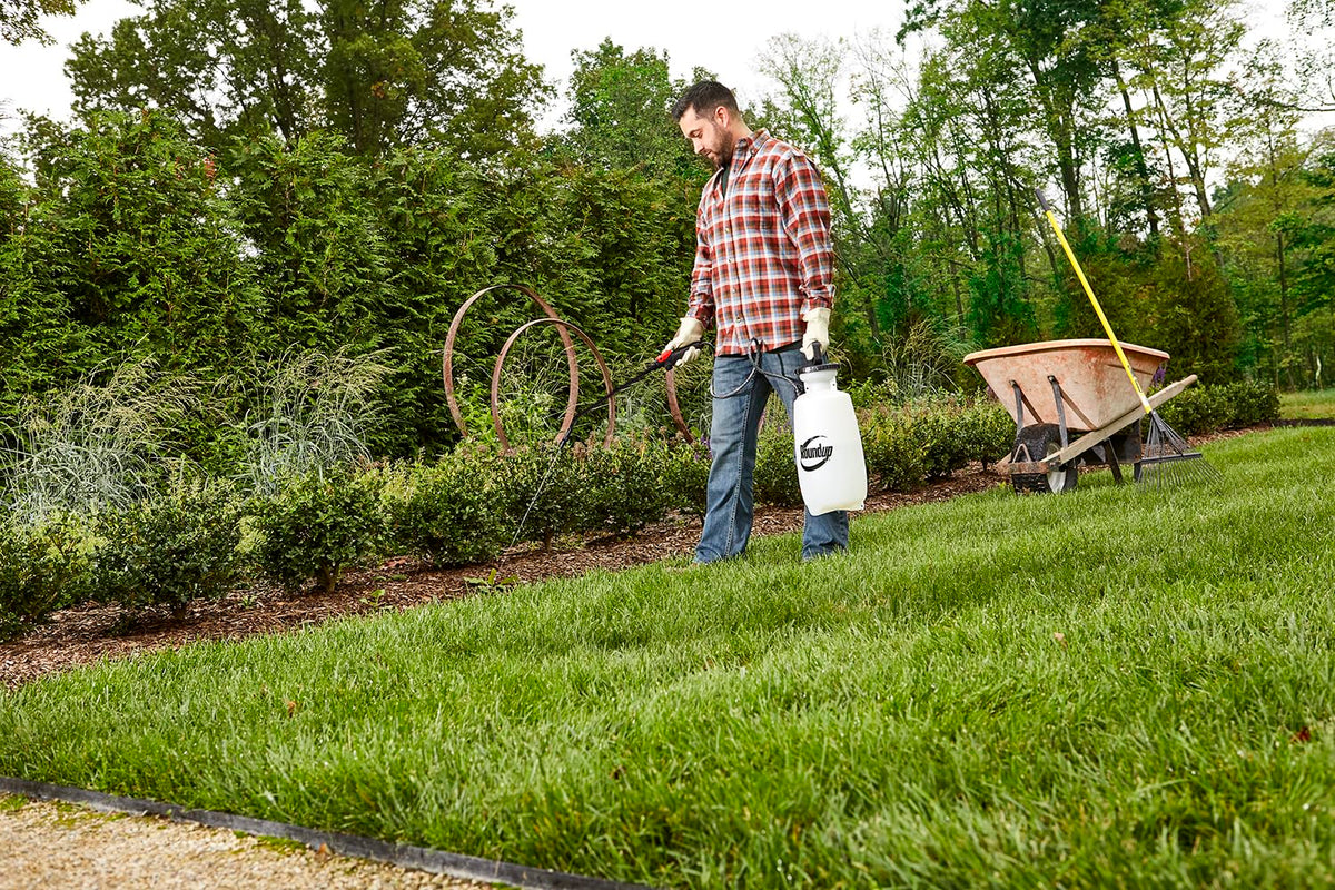 2-Gallon Lawn and Garden Sprayer Q55109