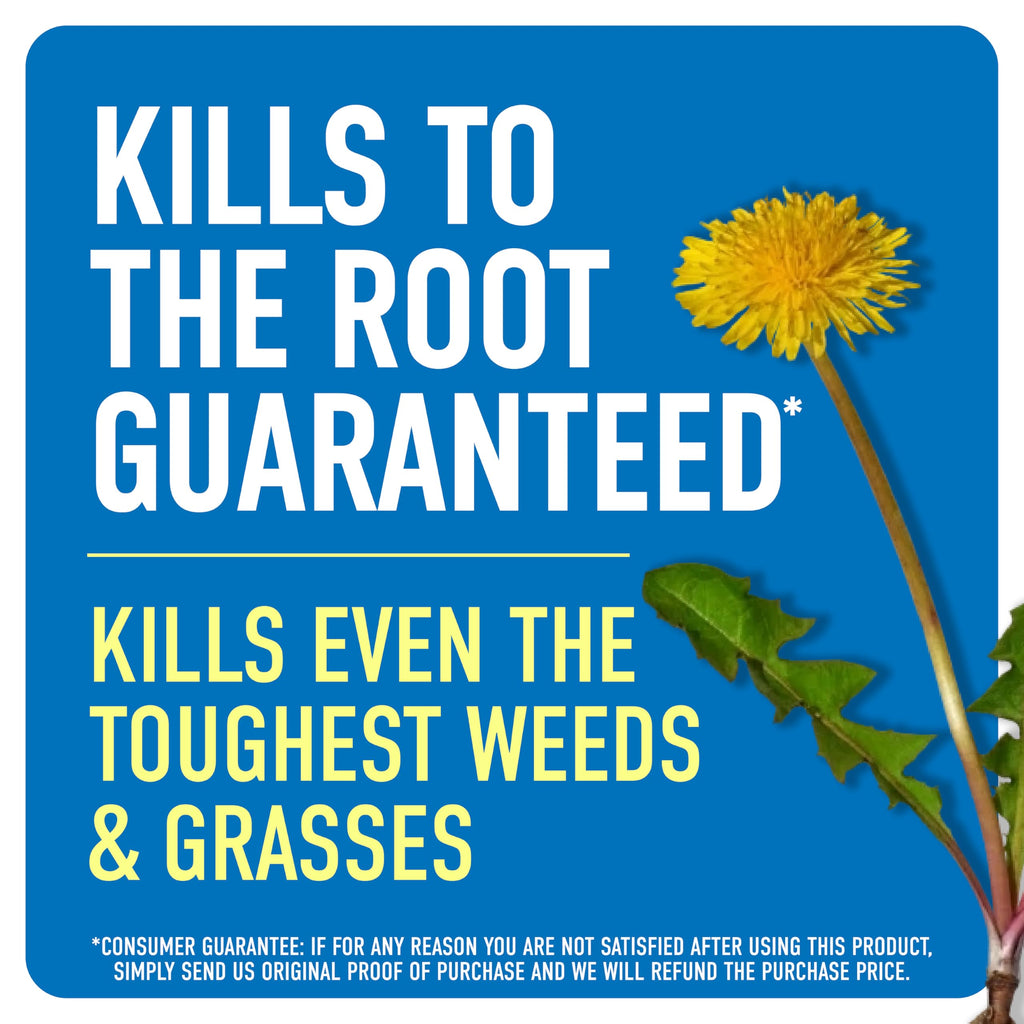 Weed & Grass Killer with Sprayer G43322