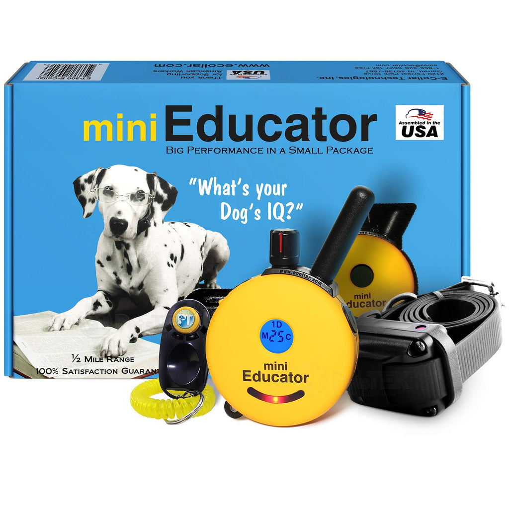 Waterproof Dog Training E Collar with Remote V27815