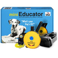 Waterproof Dog Training E Collar with Remote V27815