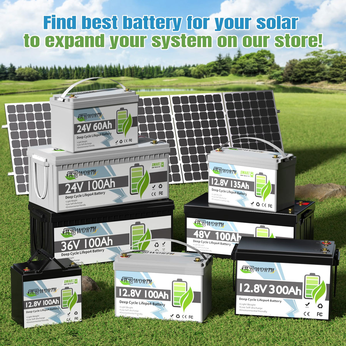 12V 100Ah LiFePO4 Deep Cycle Lithium Battery with 100A BMS O9741