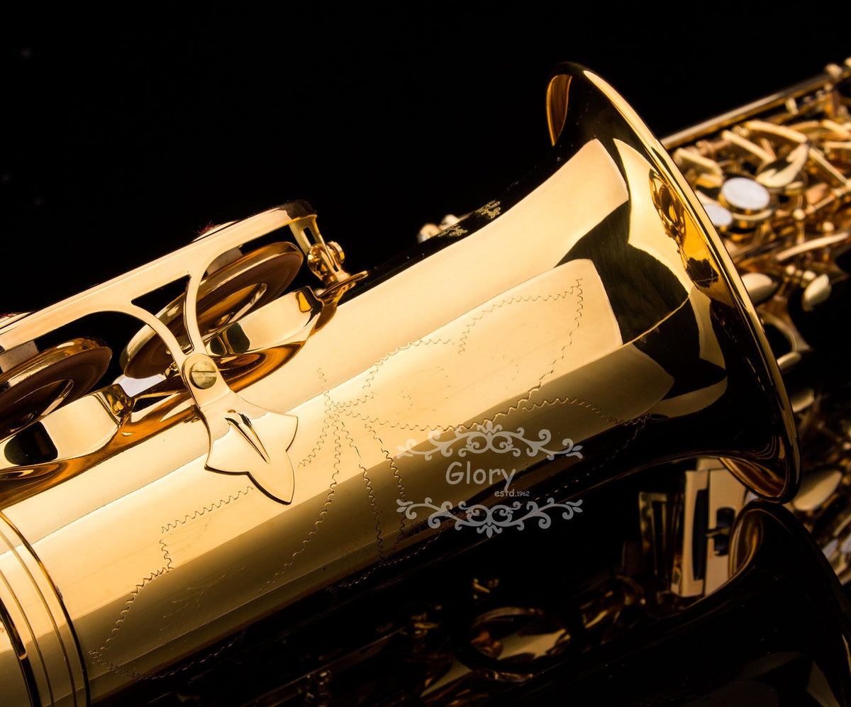E Flat Alto Saxophone with Case N790