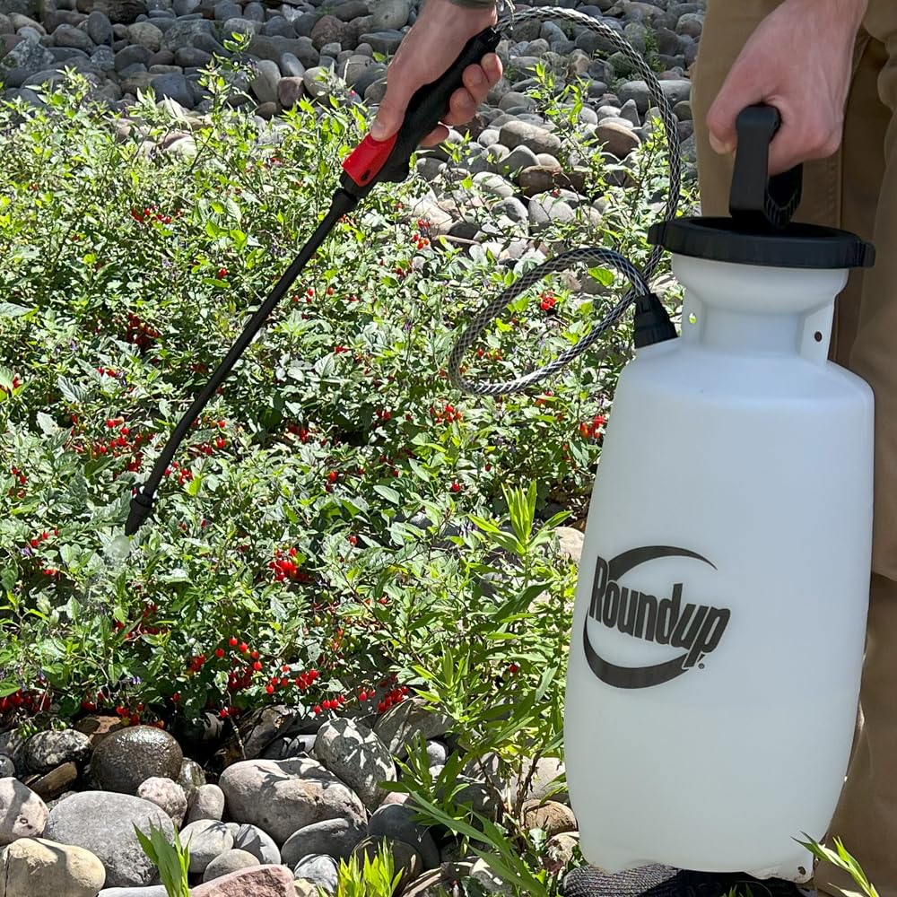 2-Gallon Lawn and Garden Sprayer Q55109