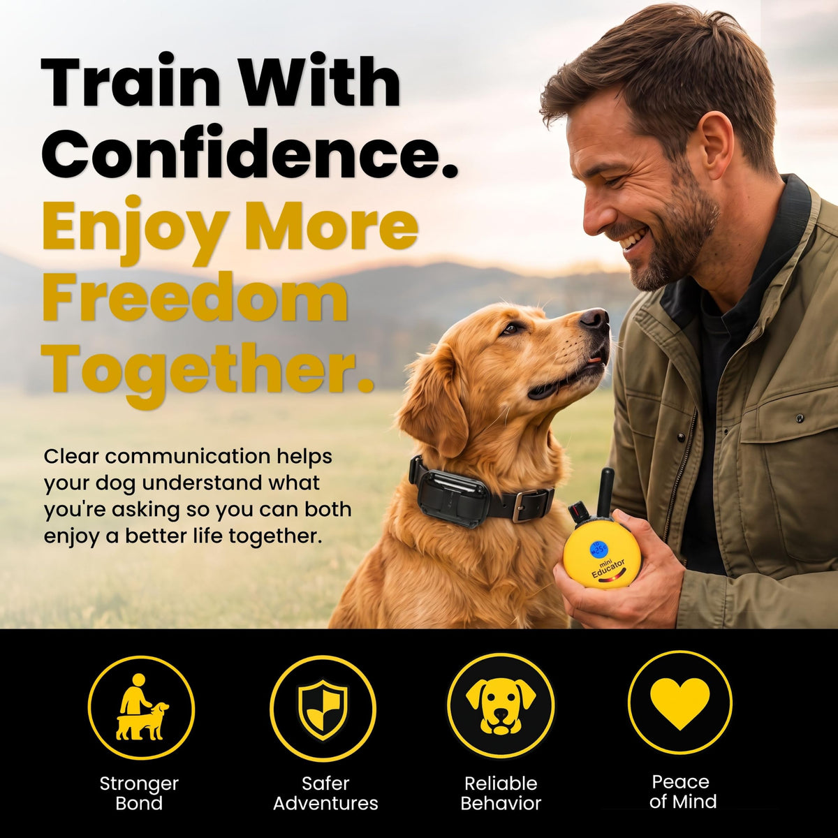 Waterproof Dog Training E Collar with Remote V27815