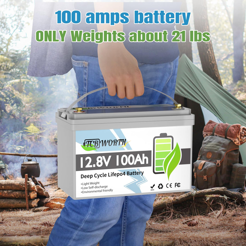 12V 100Ah LiFePO4 Deep Cycle Lithium Battery with 100A BMS O9741