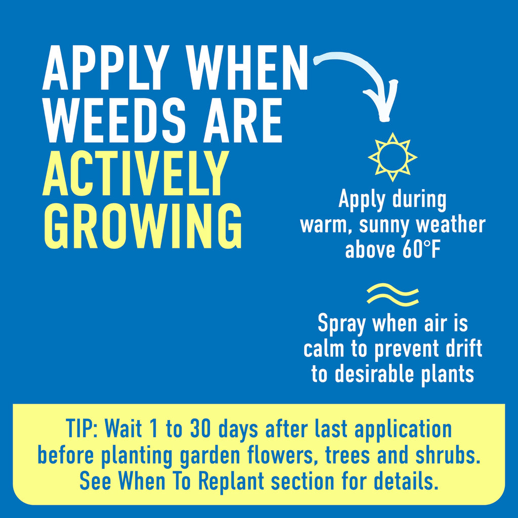 Weed & Grass Killer with Sprayer G43322