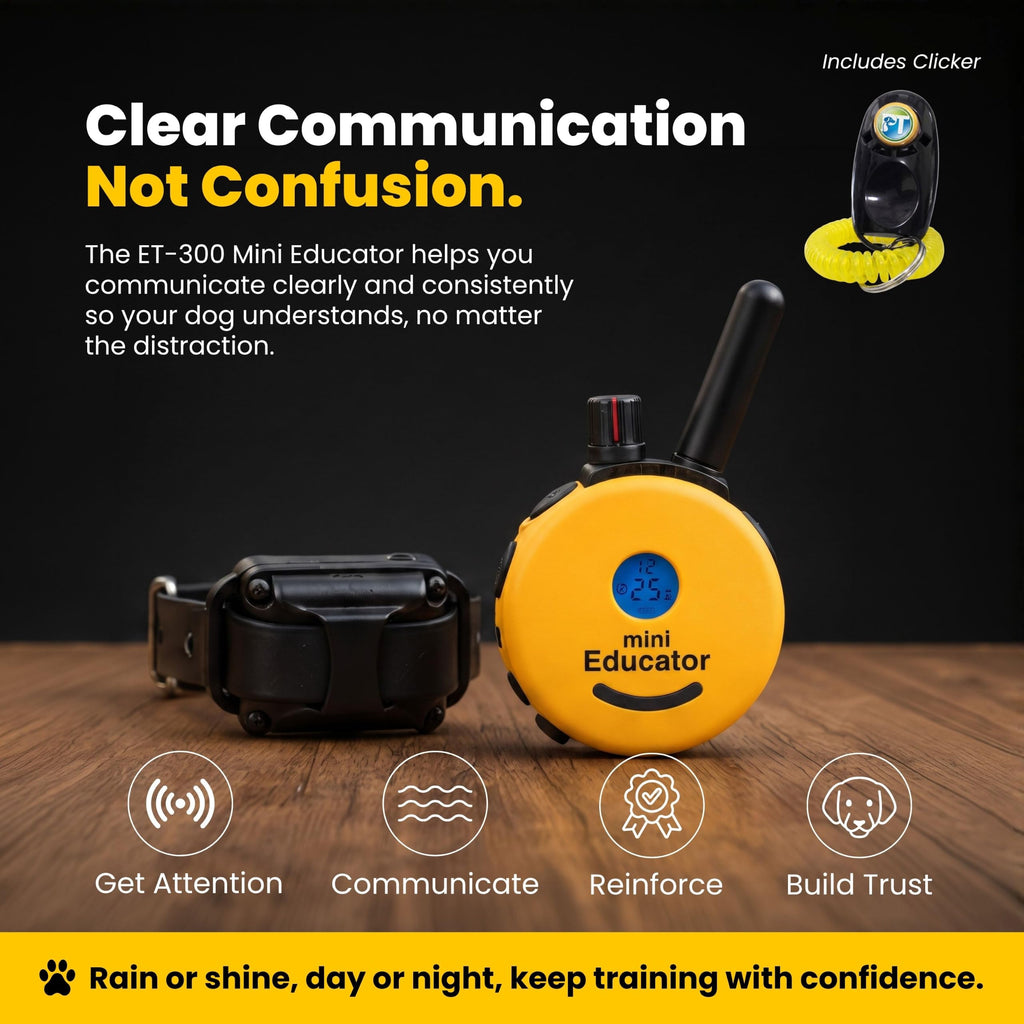 Waterproof Dog Training E Collar with Remote V27815