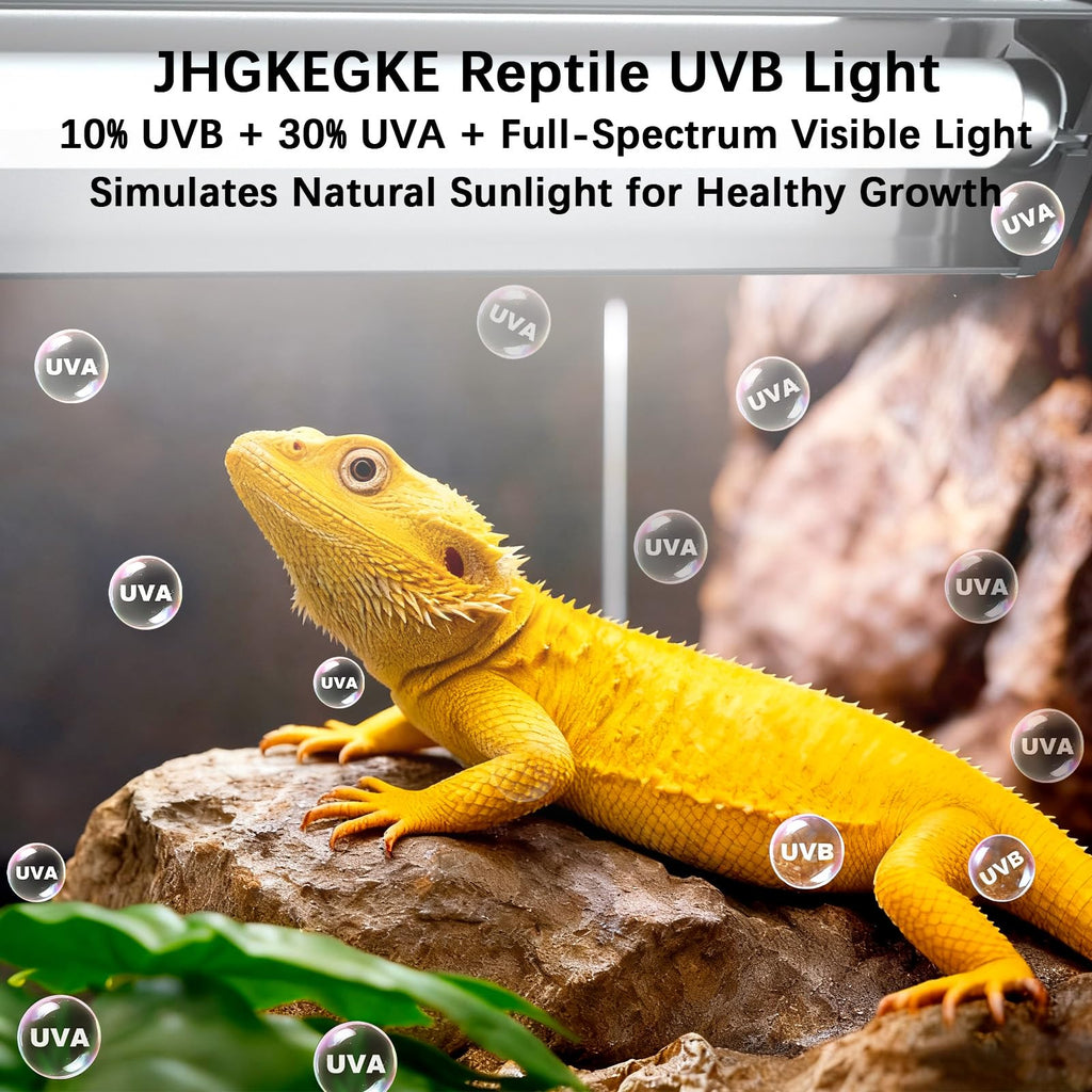 8W UVA UVB Reptile Light Fixture Combo Kit X268