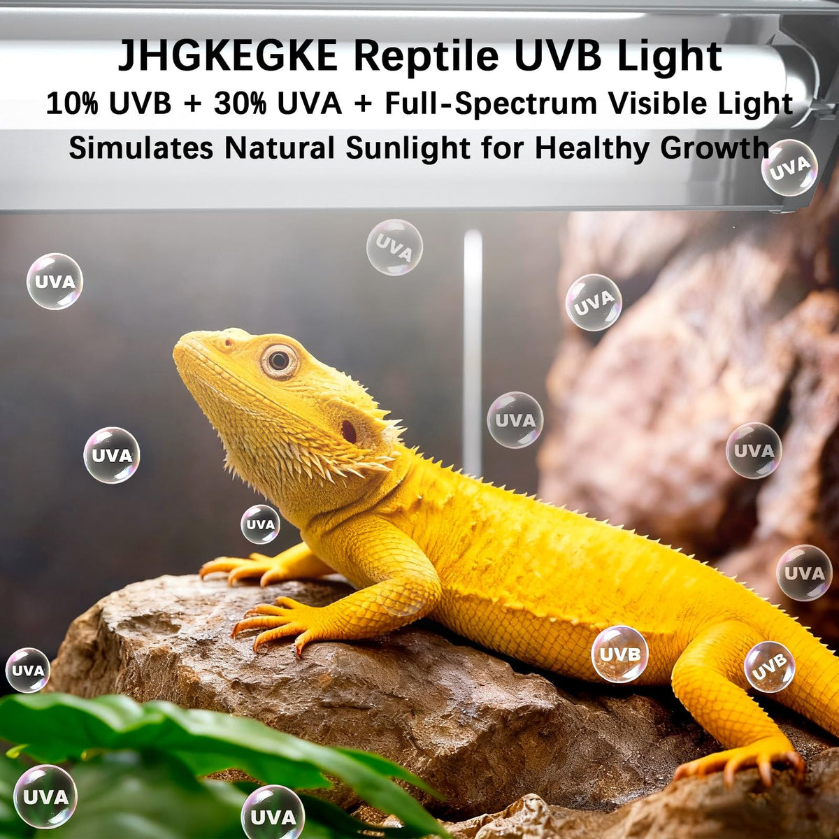 8W UVA UVB Reptile Light Fixture Combo Kit X268