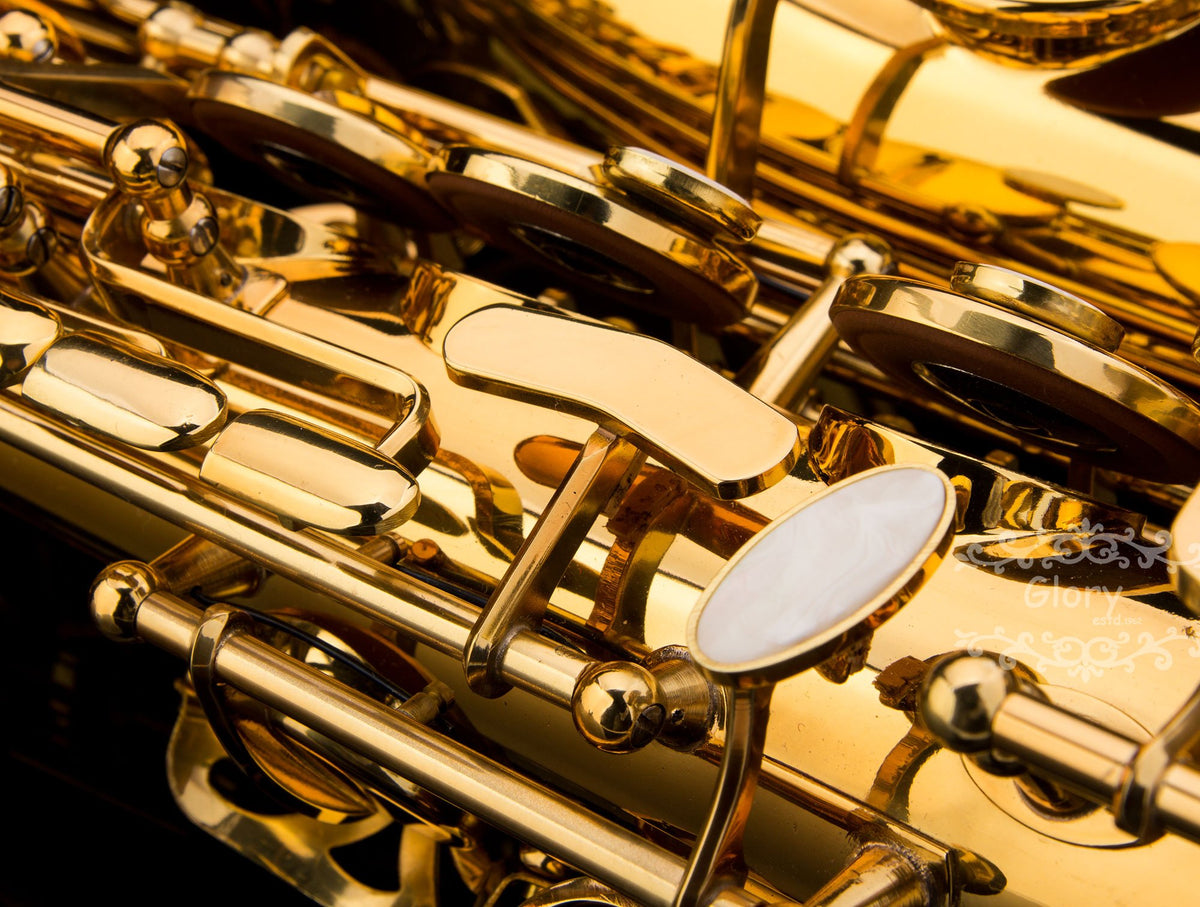 E Flat Alto Saxophone with Case N790