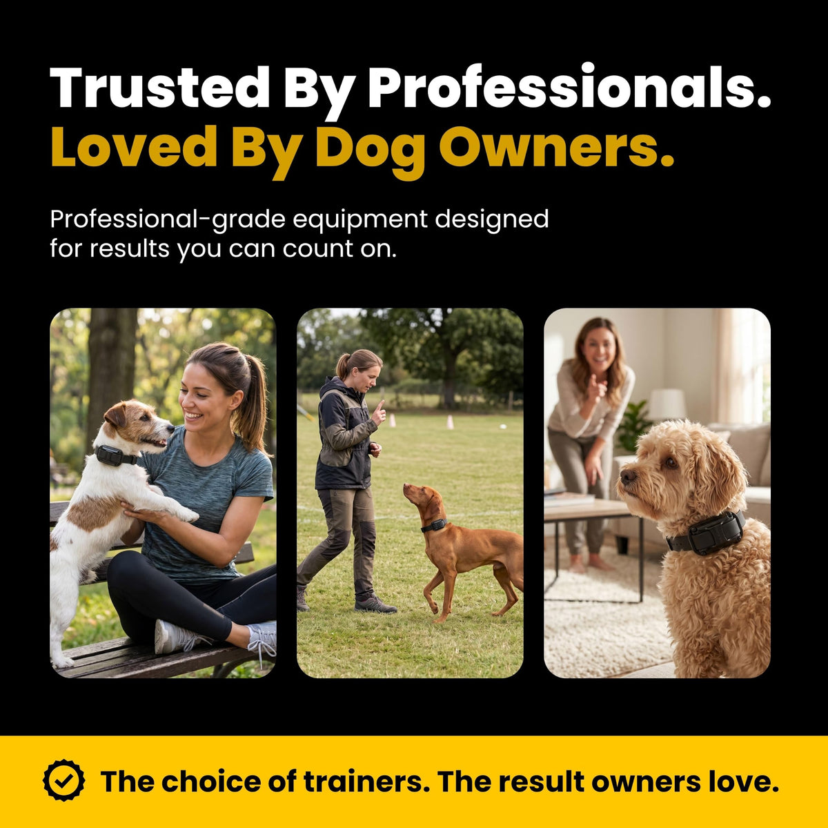 Waterproof Dog Training E Collar with Remote V27815