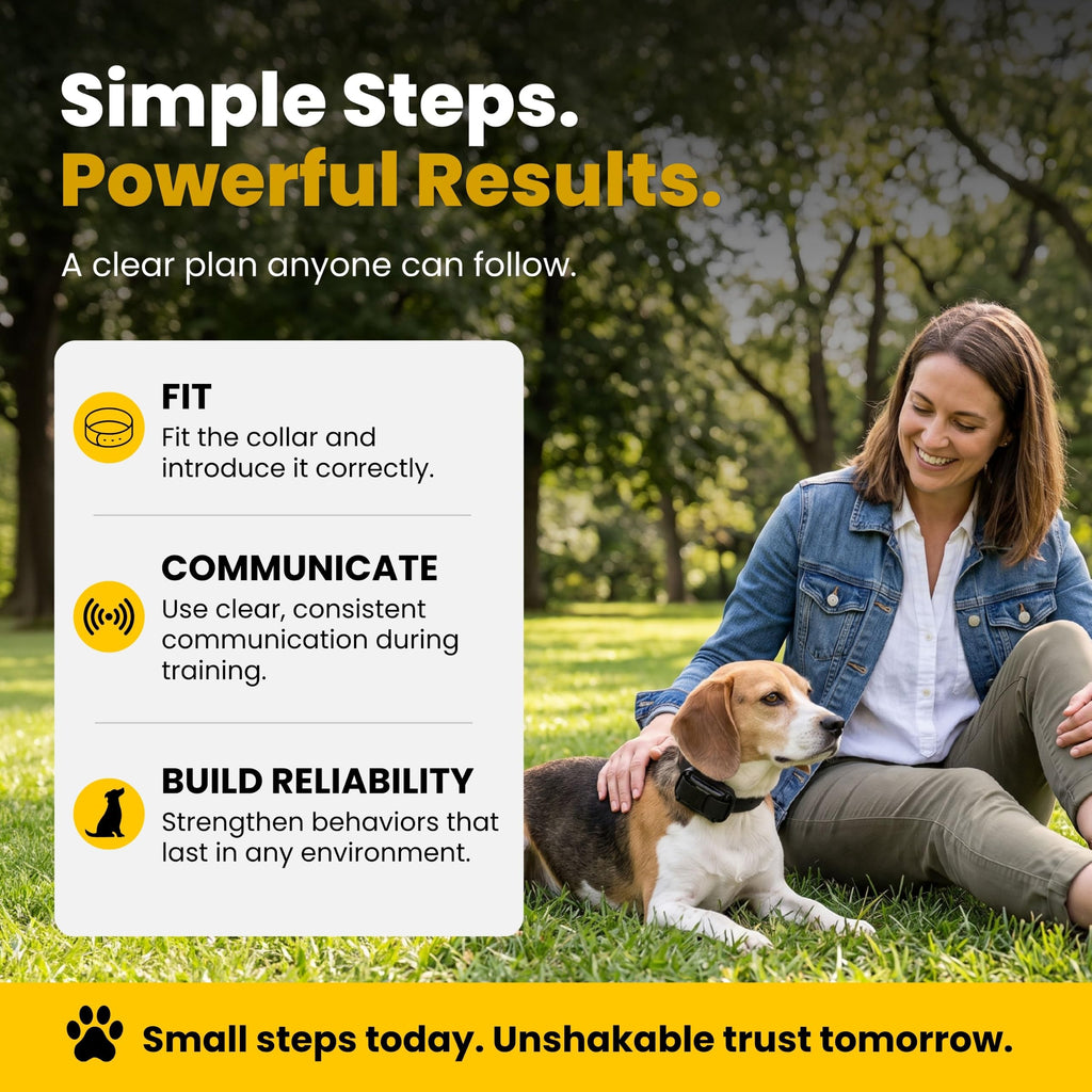 Waterproof Dog Training E Collar with Remote V27815
