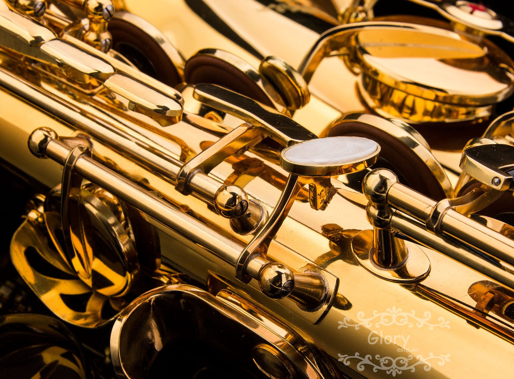 E Flat Alto Saxophone with Case N790
